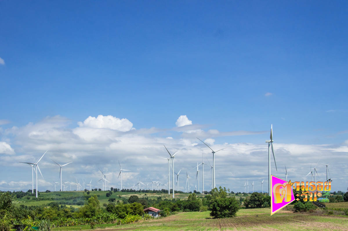 ตามรอยตะวัน